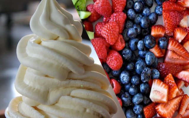 Trendyblends - Real Fruit Ice Cream Machine